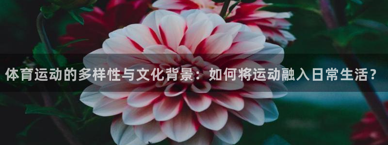 vsport体育官网下载招商电话:体育运动的多样性与文化背景