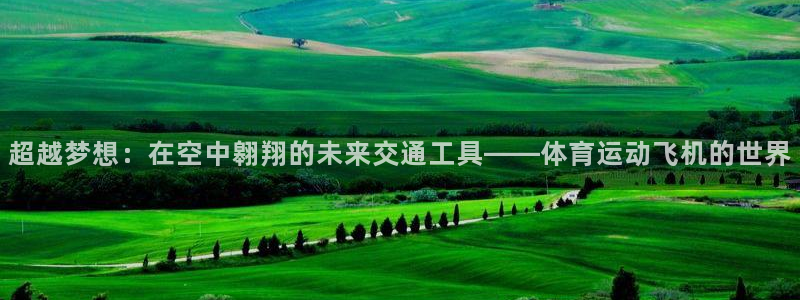 vsport体育官方正版app娱乐是那个系列的台子:超越梦想